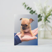 Carte Postale Mains d'amour (Debout devant)