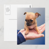 Carte Postale Mains d'amour (Devant / Derrière)