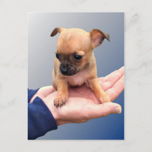 Carte Postale Mains d'amour