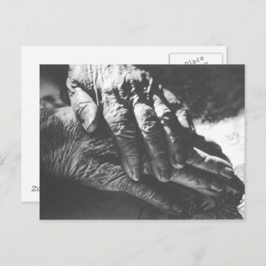 Carte Postale Mains grand-mère (Devant / Derrière)