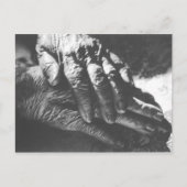 Carte Postale Mains grand-mère (Devant)