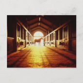 Carte Postale Mains stables (Devant)