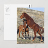 Carte Postale Maintenir (Devant / Derrière)