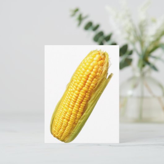 Carte Postale maïs (Debout devant)