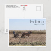 Carte Postale Maïs de plantation agricole Amish (Devant / Derrière)