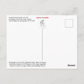 Carte Postale Maïs de plantation agricole Amish (Dos)