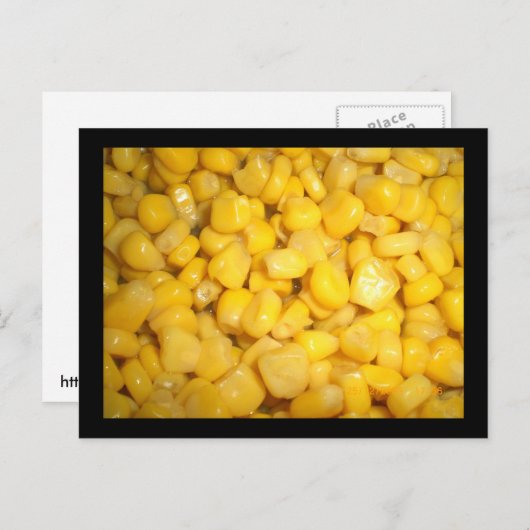 Carte Postale Maïs doux (Devant / Derrière)