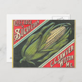 Carte Postale Maïs doux (Devant / Derrière)