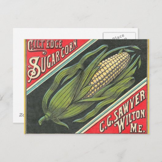 Carte Postale Maïs doux (Devant / Derrière)