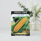 Carte Postale Maïs en croissance (Debout devant)