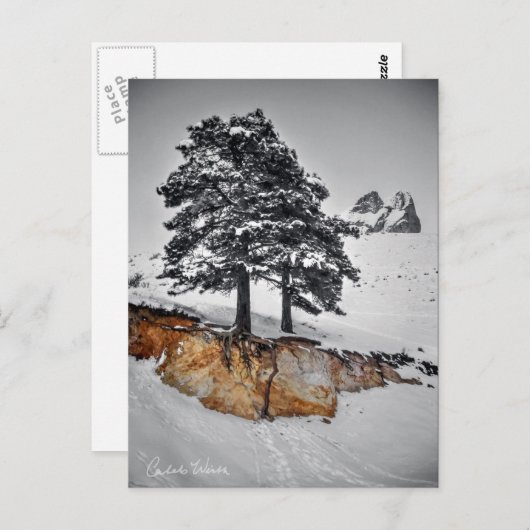 Carte Postale Mais il se développe (Devant / Derrière)