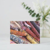 Carte Postale Maïs indien (Debout devant)