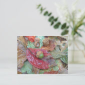 Carte Postale Maïs vert sur une feuille rouge (Debout devant)