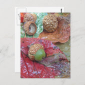 Carte Postale Maïs vert sur une feuille rouge (Devant / Derrière)