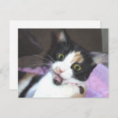 Carte Postale maisie (Devant / Derrière)