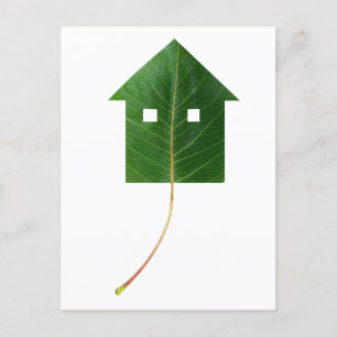 Carte Postale Maison à feuilles