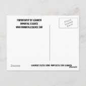 Carte Postale Maison abandonnée (Dos)