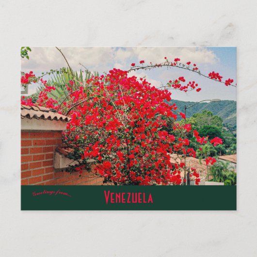 Carte Postale Maison Avec Fleurs Caracas Venezuela (Devant)