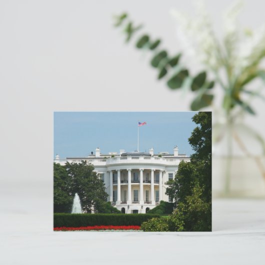 Carte postale "Maison Blanche" (Debout devant)