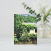 Carte Postale Maison Blanche abandonnée dans les bois (Debout devant)