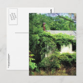 Carte Postale Maison Blanche abandonnée dans les bois (Devant / Derrière)