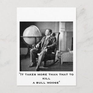 Carte Postale Maison Blanche Vintage du président Teddy Roosevel