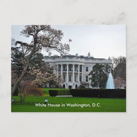 Carte Postale Maison Blanche, Washington, DC (Devant)