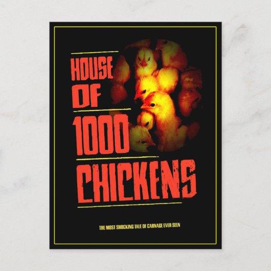 Carte Postale MAISON de 1000 POULETS (Devant)