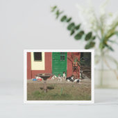 Carte Postale maison de chien (Debout devant)