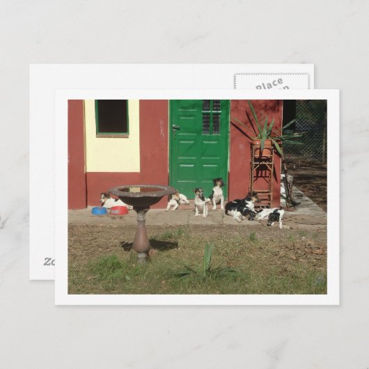 Carte Postale maison de chien (Devant / Derrière)