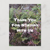 Carte Postale Maison de location de Merci Ferns Forêt Cabine Inv (Devant)