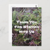 Carte Postale Maison de location Merci Ferns Cabane de la forêt  (Devant / Derrière)