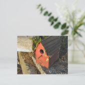 Carte Postale Maison de plage avec vue (Debout devant)