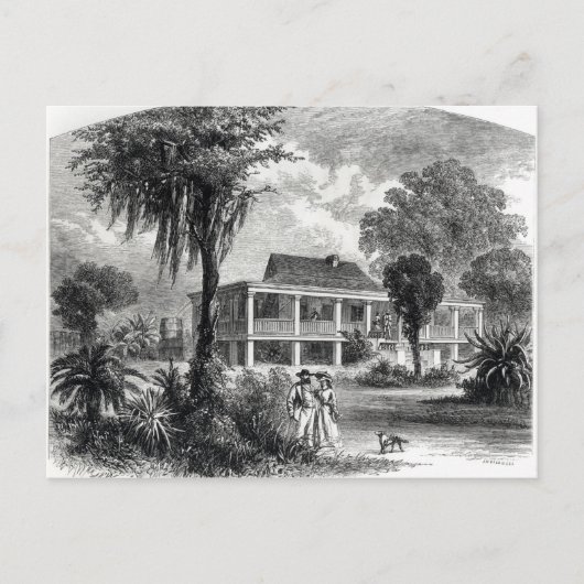 Carte Postale Maison de Planter sur le Mississippi (Devant)