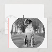 Carte Postale Maison Dogue (Devant / Derrière)