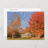 Carte Postale Maison du sucre du Vermont (Devant / Derrière)