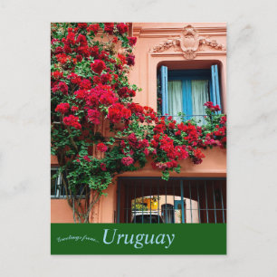 Carte Postale Maison et Fleurs en Uruguay