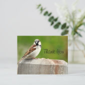 Carte Postale Maison Sparrow (Debout devant)