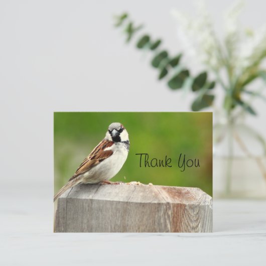 Carte Postale Maison Sparrow (Debout devant)