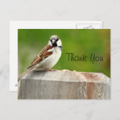 Carte Postale Maison Sparrow (Devant / Derrière)