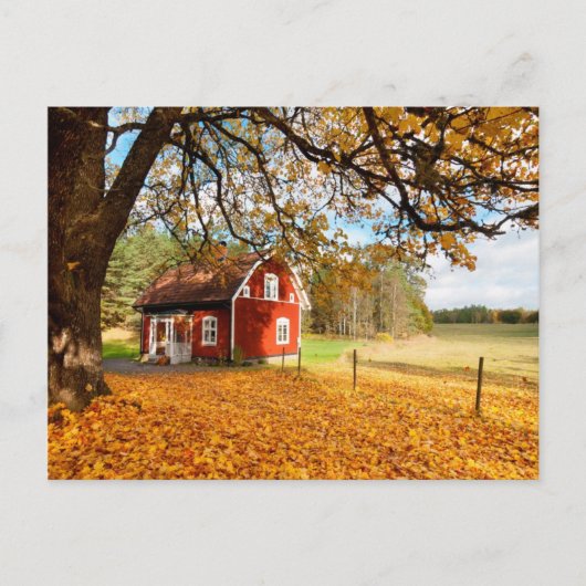 Carte Postale Maison Suédoise Rouge parmi les feuilles d'automne (Devant)
