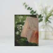Carte Postale Maison Wren (Debout devant)