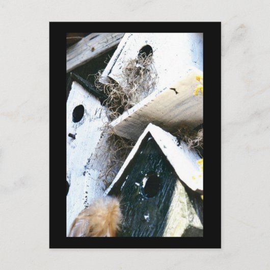 Carte Postale Maisons d'oiseaux (Devant)