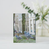 Carte postale Maisons et pigeons du canal néerland (Debout devant)