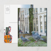 Carte postale Maisons et pigeons du canal néerland (Devant / Derrière)