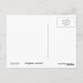 Carte Postale Maître Blister Beetle (Dos)