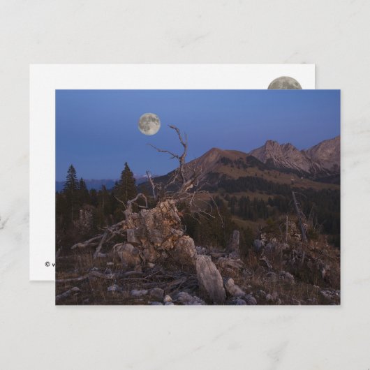 Carte Postale Maîtresse De La Nuit (Devant / Derrière)