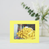 Carte Postale Maiz Tico (Debout devant)