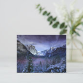 Carte Postale majesté des montagnes violettes (Debout devant)