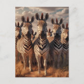 Carte Postale Majesté rayée : troupeau de zèbres dans l'herbe sè (Devant)